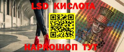 индика Нальчик
