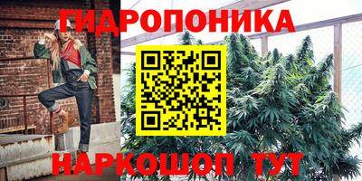 индика Нальчик