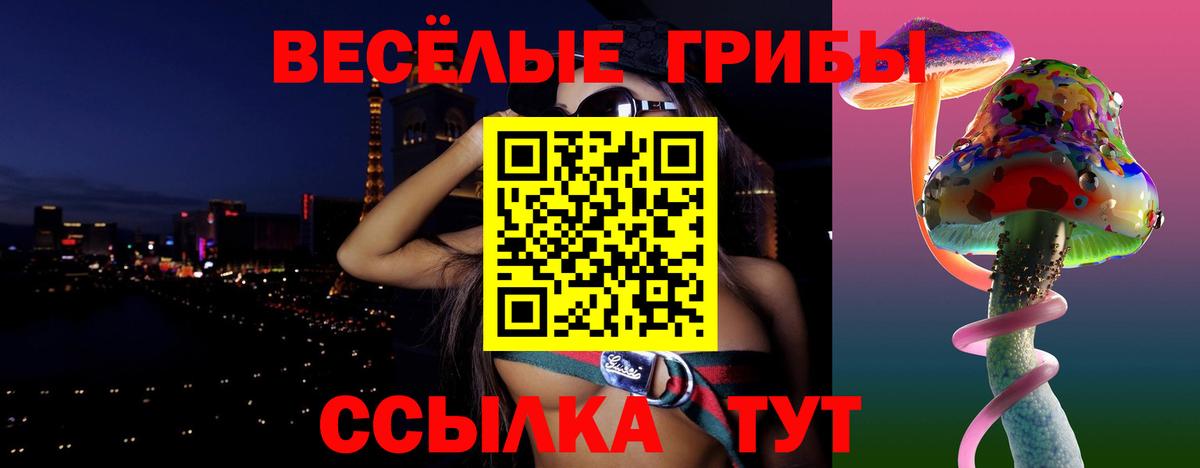 Галлюциногенные грибы Cubensis Сургут
