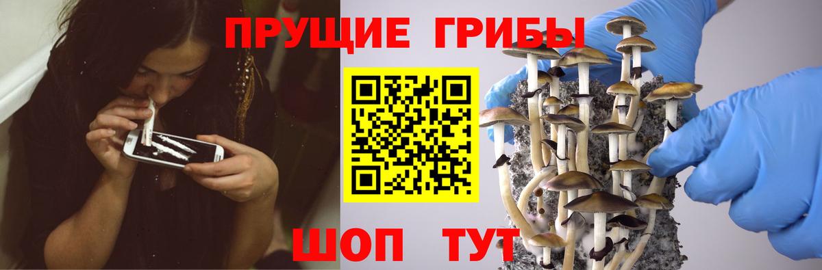 Галлюциногенные грибы Psilocybe  Вход с VPN  Сургут 