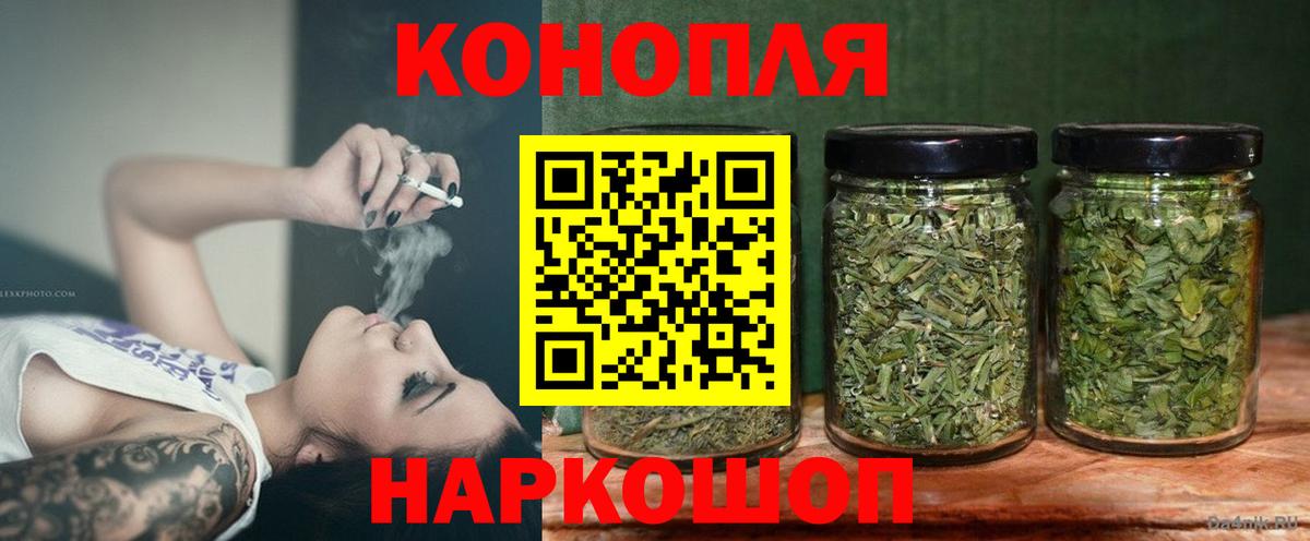Конопля сатива Сургут